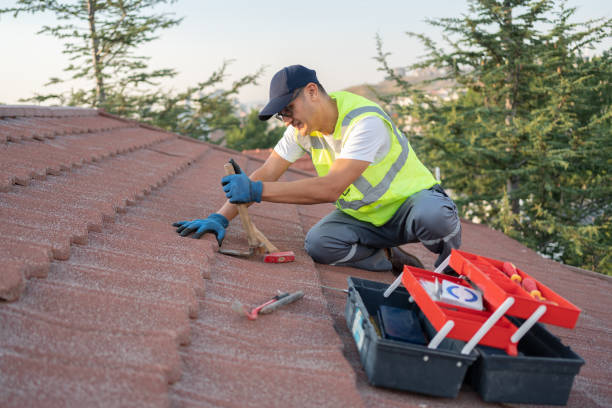 Best Roof Gutter Cleaning  in Sutter Creek, CA